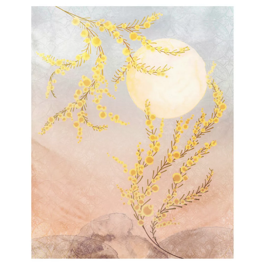 KOMAR Vlies Fototapete - Sol  - Größe 200 x 250 cm mehrfarbig günstig online kaufen