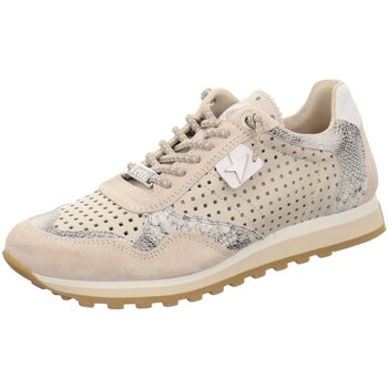 Cetti  Halbschuhe Schnuerschuhe C-848-SRA-nature ivory günstig online kaufen