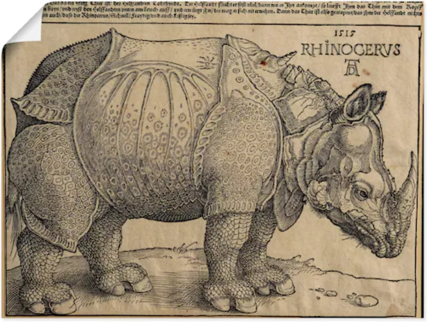 Artland Kunstdruck "Nashorn. 1515. Für König Emanuel.", Wildtiere, (1 St.) günstig online kaufen