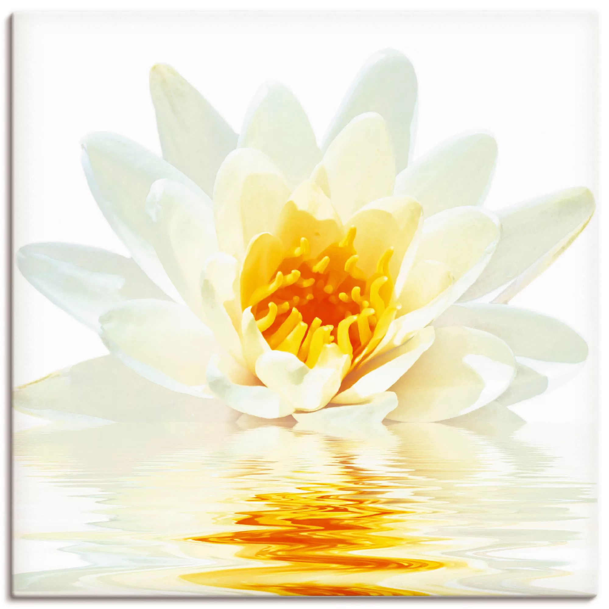Artland Wandbild »Lotusblume schwimmt im Wasser«, Blumen, (1 St.), als Lein günstig online kaufen