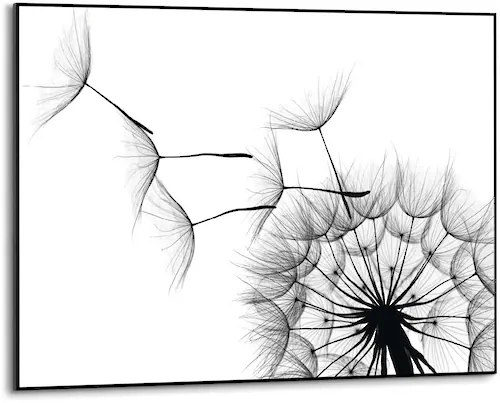 Reinders Wandbild "Slim Frame Black 50x70 Dandelion" günstig online kaufen