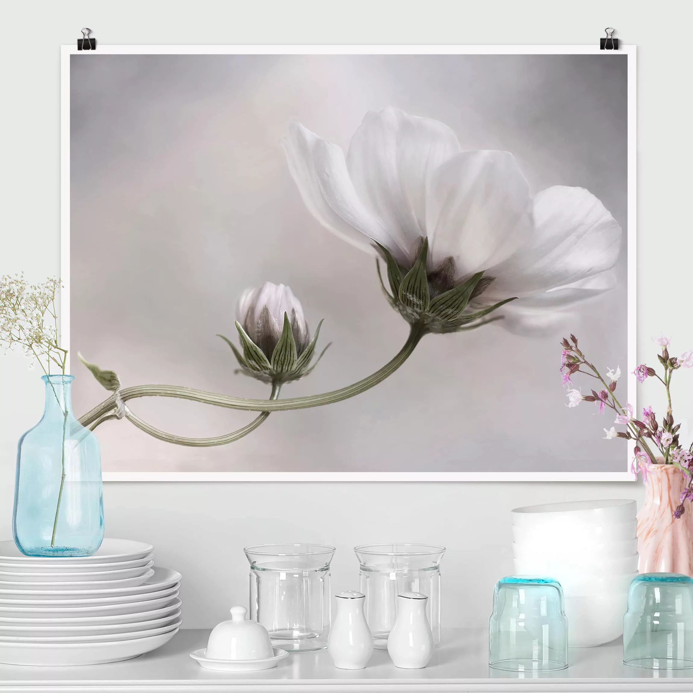 Poster Blumen - Querformat Simply Cosmos günstig online kaufen