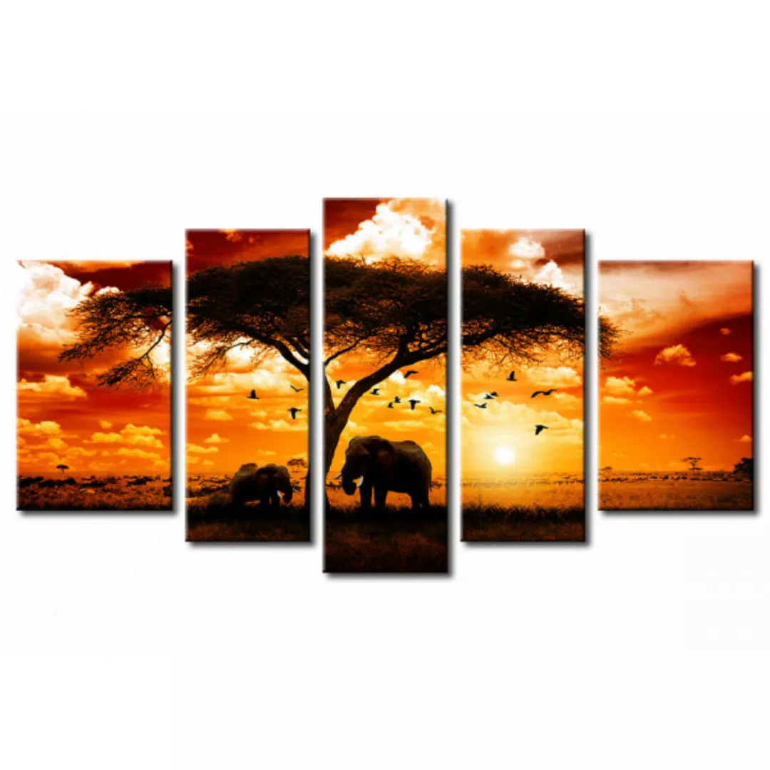 Wandbild Afrikanische Landschaft  XXL günstig online kaufen