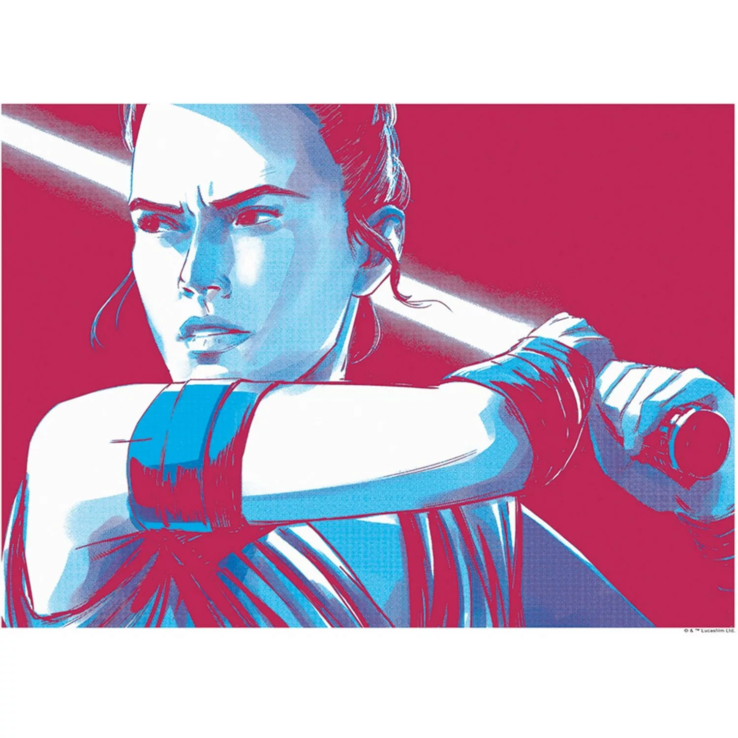 Komar Wandbild Star Wars Rey 50 x 40 cm günstig online kaufen