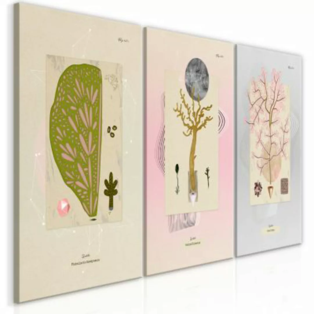 artgeist Wandbild Trees (Collection) mehrfarbig Gr. 60 x 30 günstig online kaufen