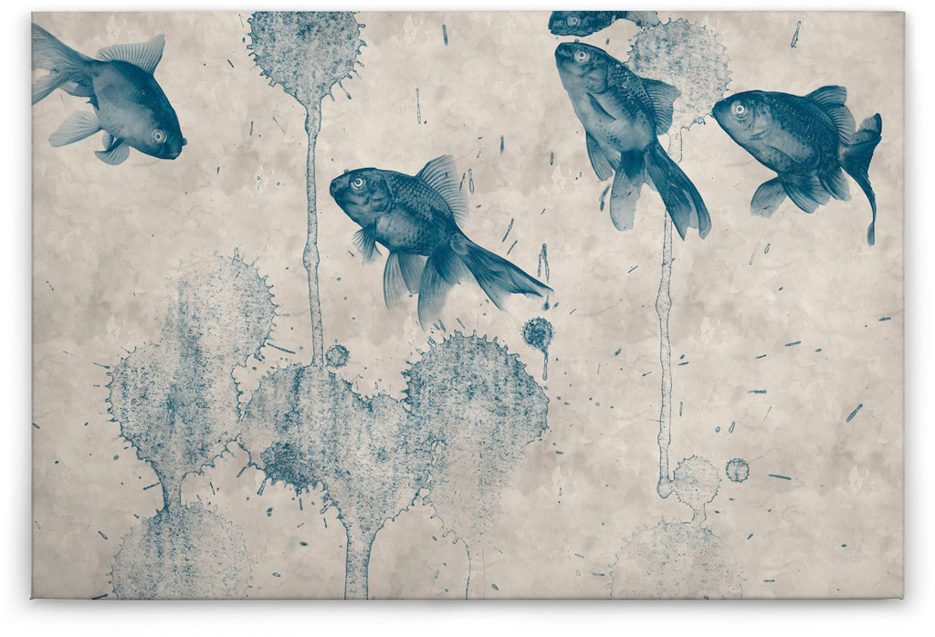 A.S. Création Leinwandbild "pond", Tiere, (1 St.), Keilrahmen Bild Fische A günstig online kaufen