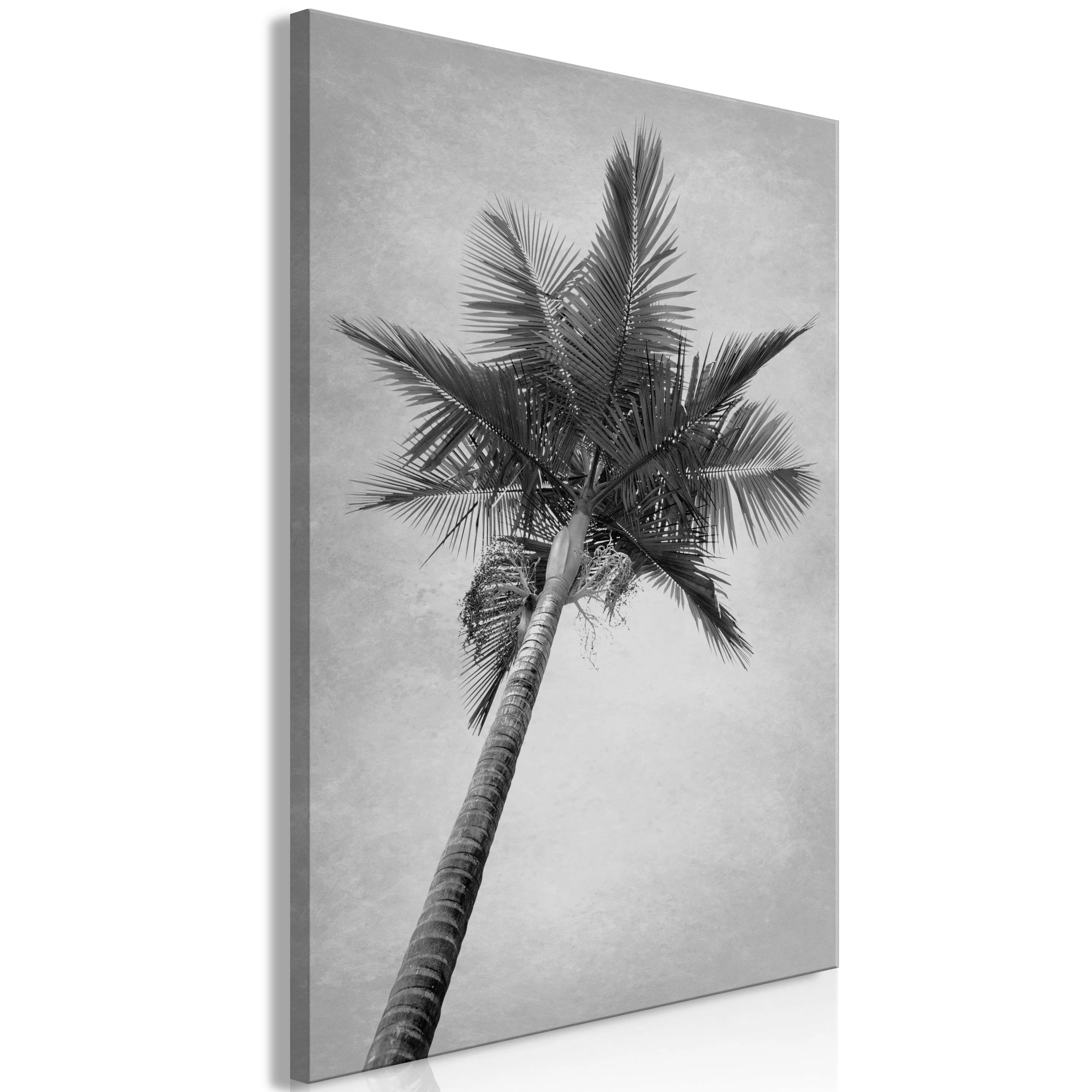 Wandbild - High Palm Tree (1 Part) Vertical günstig online kaufen