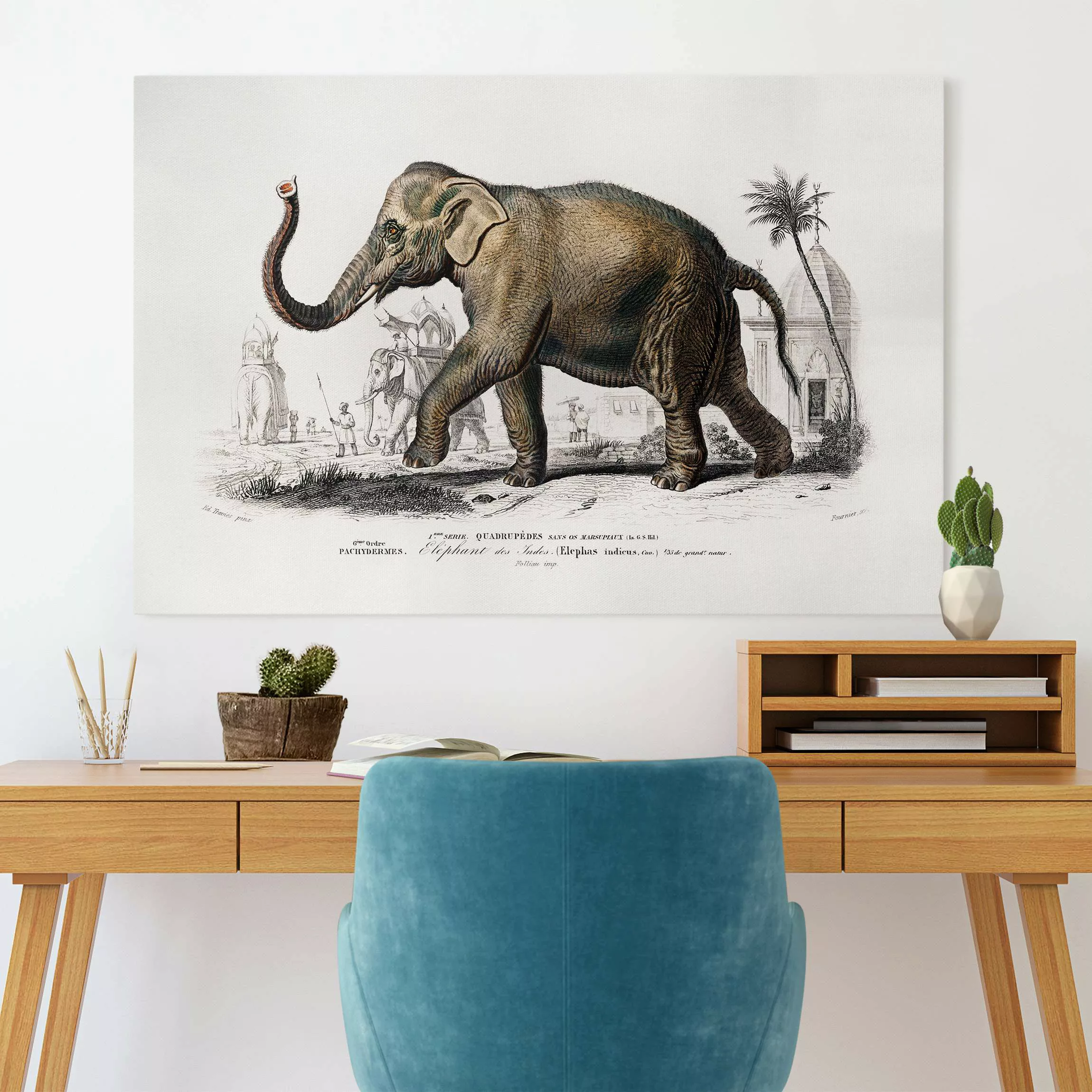 Leinwandbild Vintage Lehrtafel Elefant günstig online kaufen