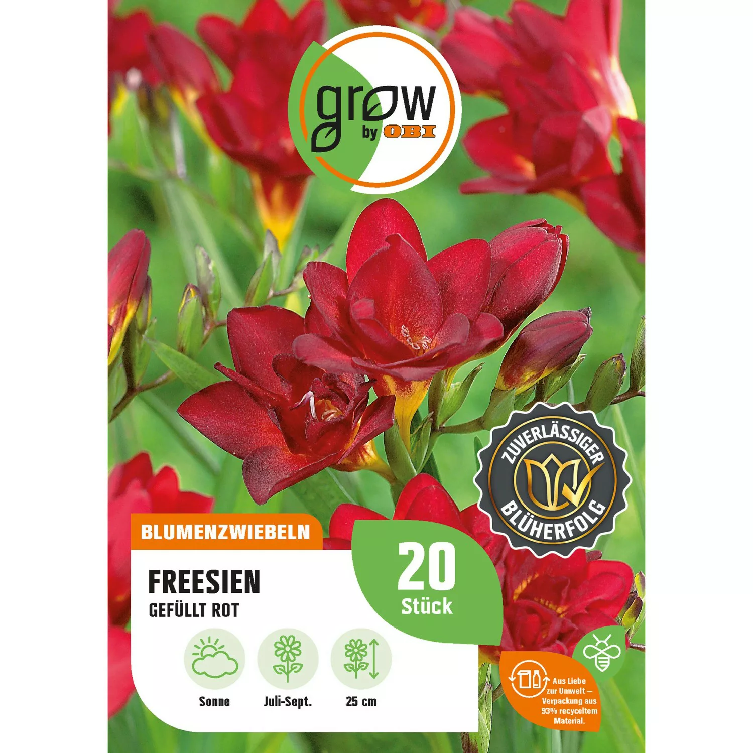 GROW by OBI Freesie Gefüllt Rot Höhe ca. 25 cm Freesia double günstig online kaufen