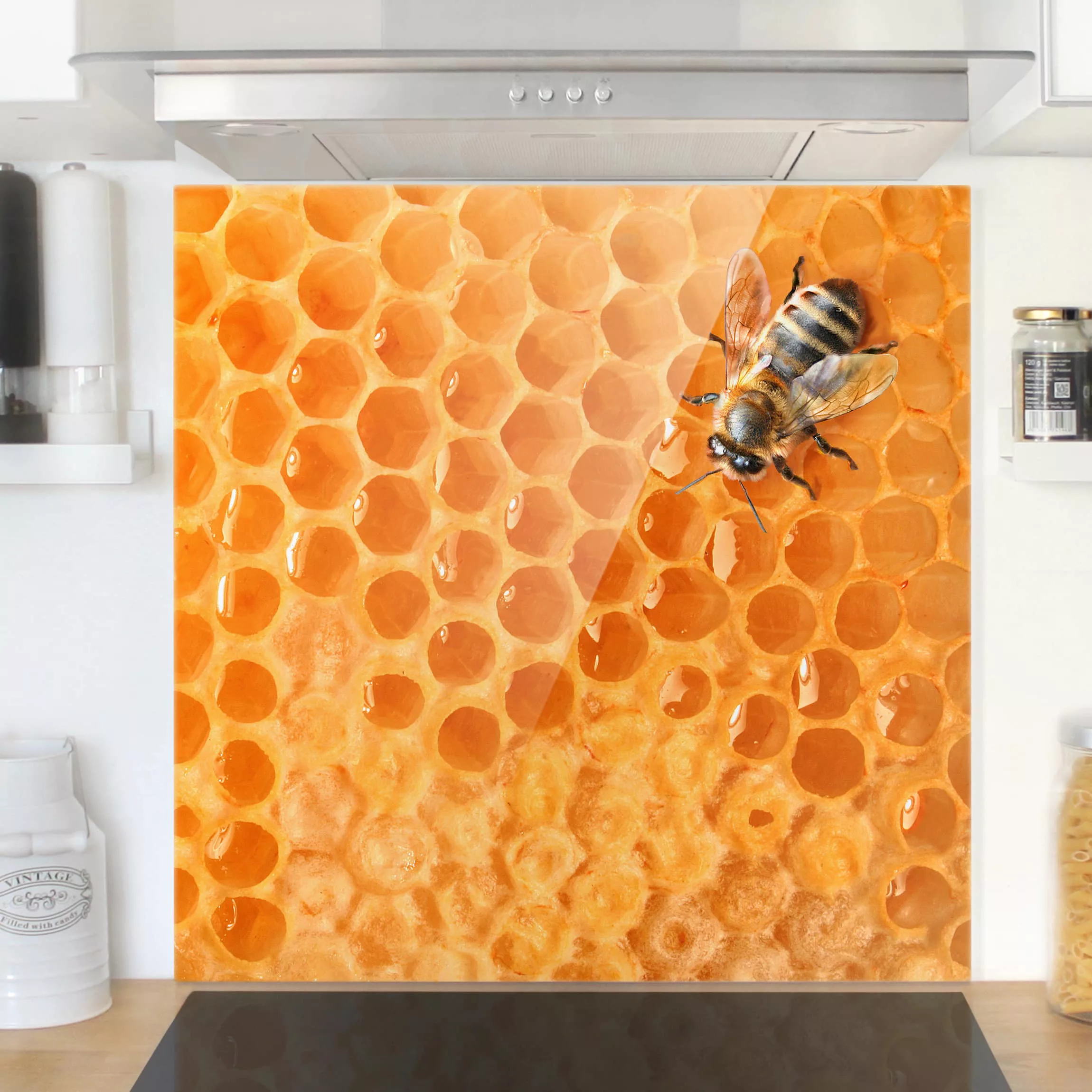 Spritzschutz Honey Bee günstig online kaufen
