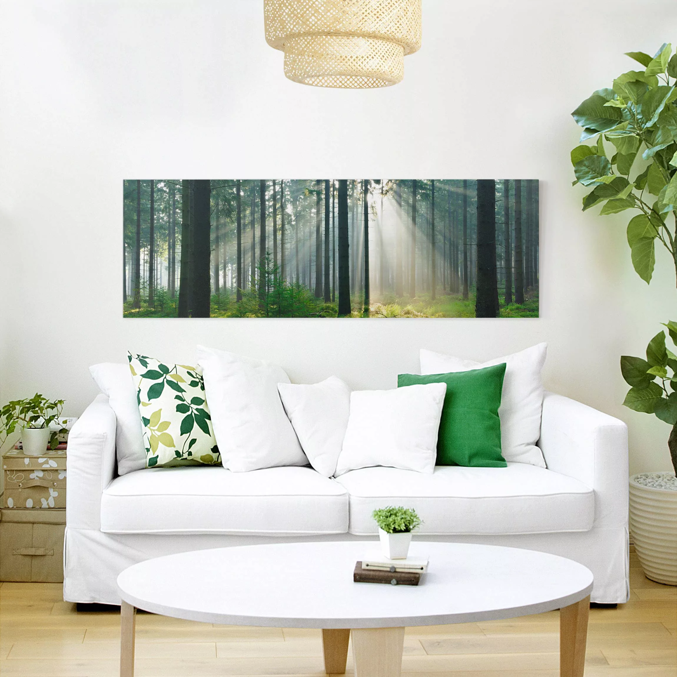 Leinwandbild - Panorama Enlightened Forest günstig online kaufen