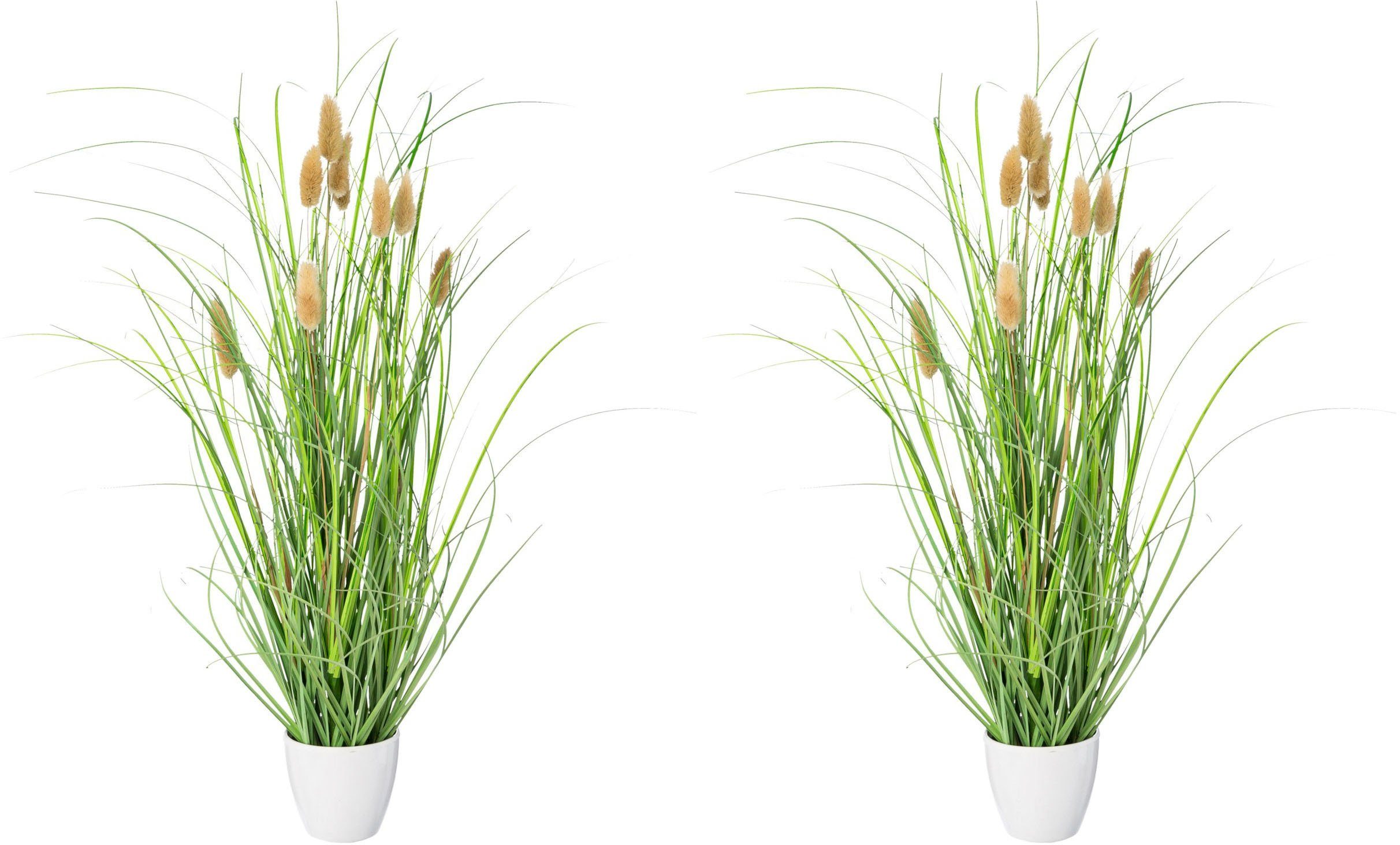 Creativ green Kunstgras "Grasbusch Lagurus" günstig online kaufen