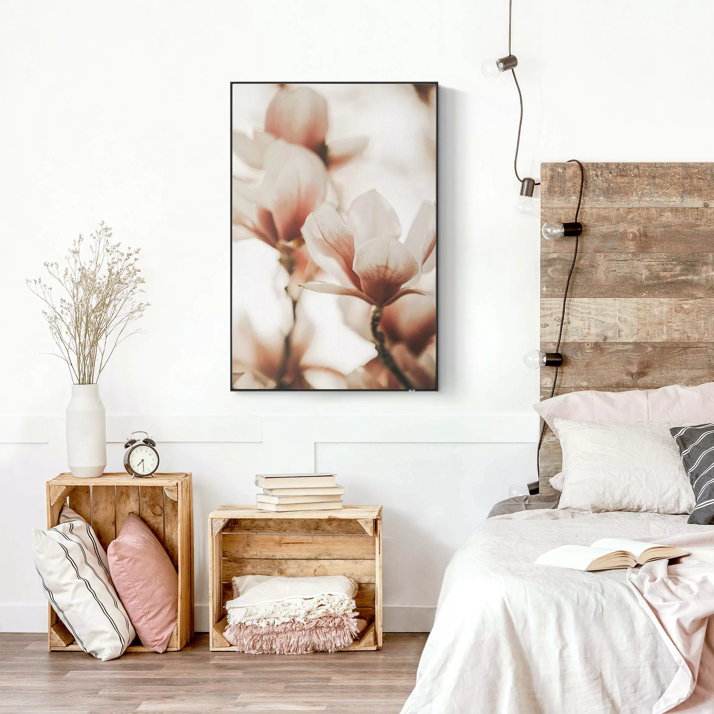 Akustik-Wechselbild Zarte Magnolienblüten im Lichtspiel günstig online kaufen
