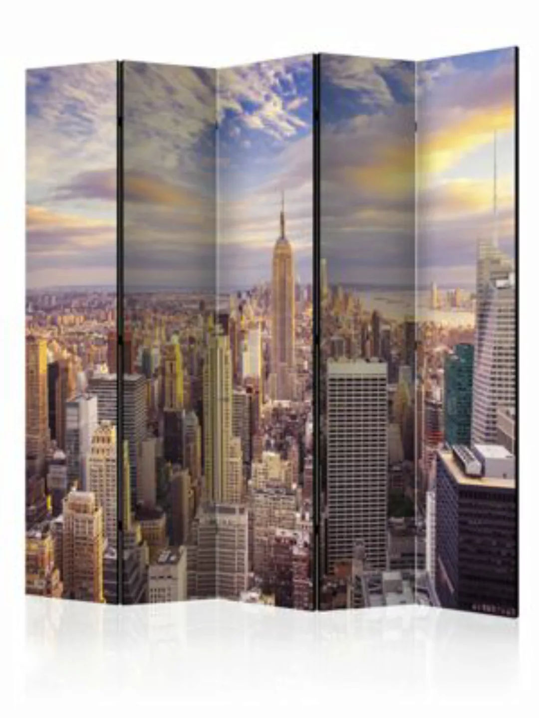 artgeist Paravent New York Morning II [Room Dividers] mehrfarbig Gr. 225 x günstig online kaufen