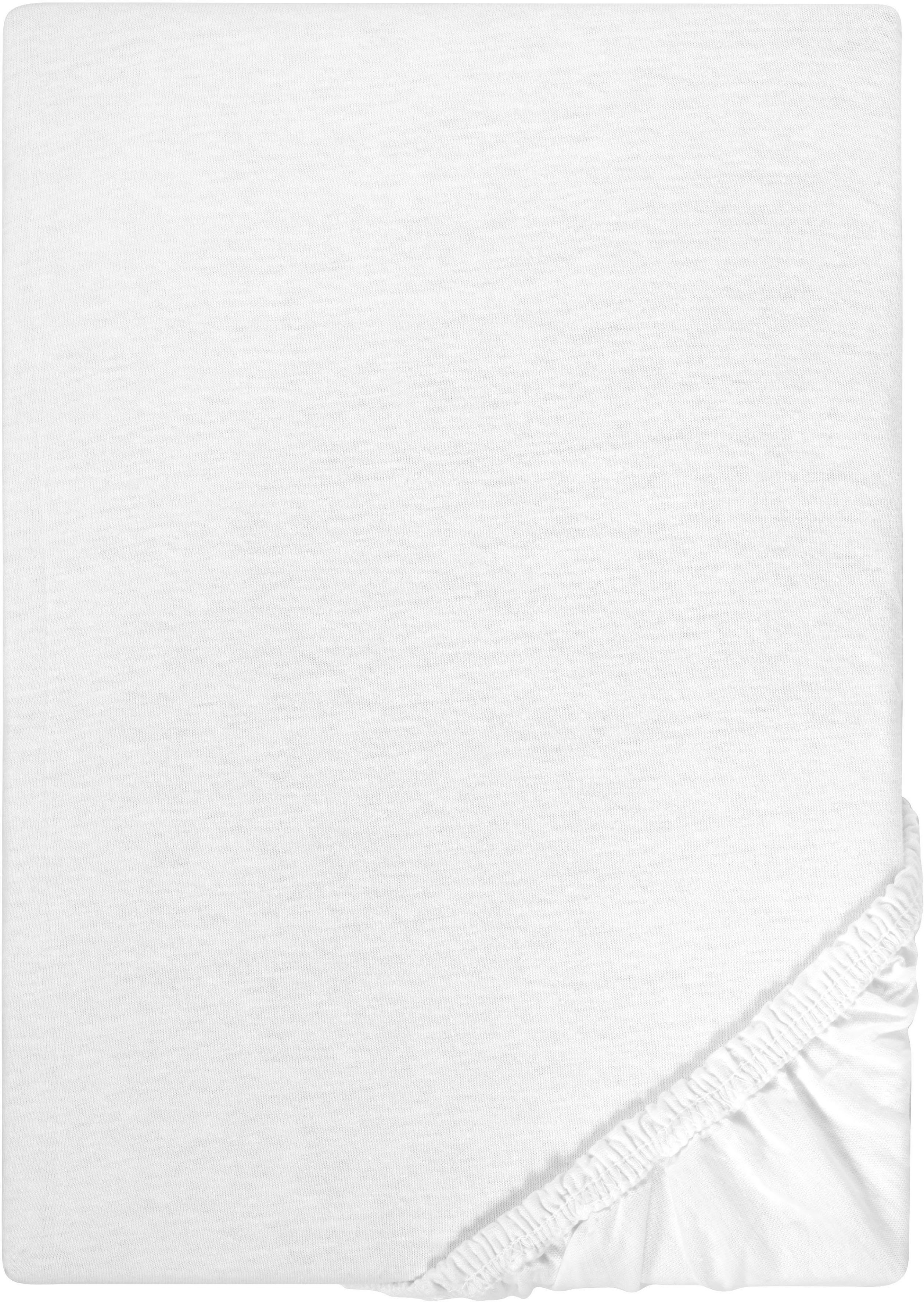 Castell - Markenbettwäsche Spannbettlaken Jersey in günstig online kaufen