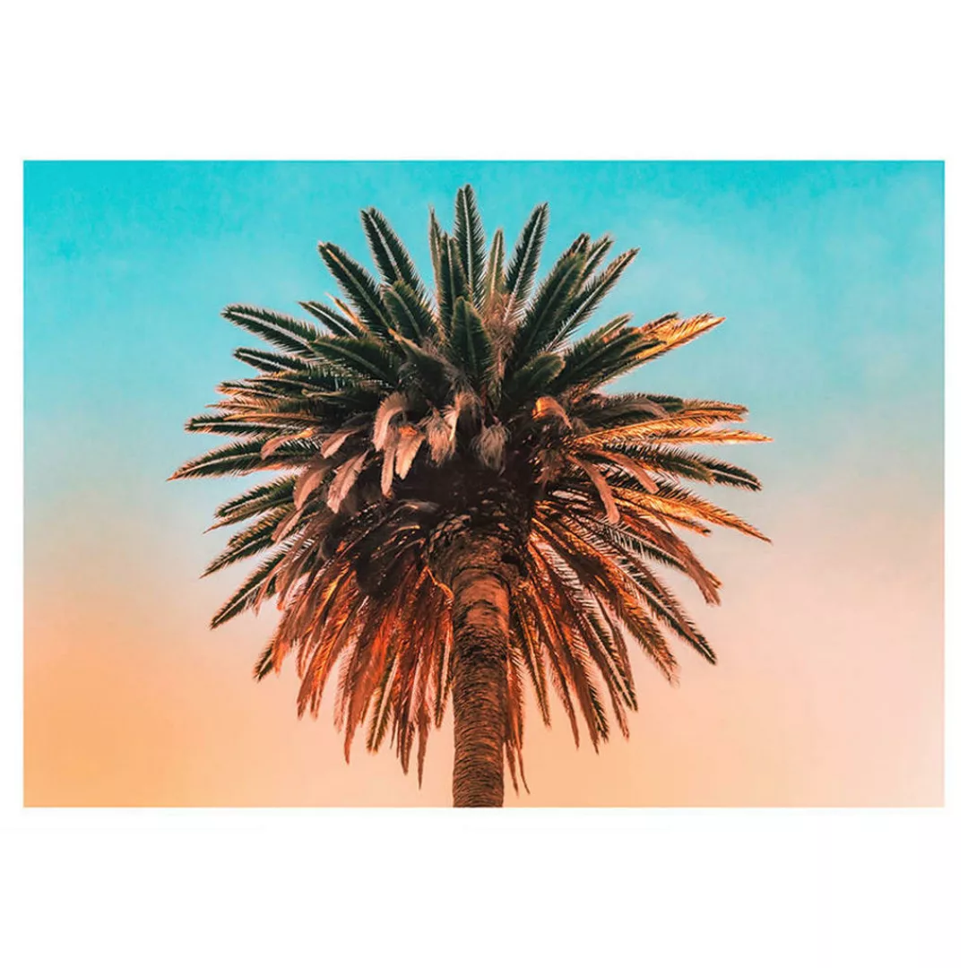 Komar Wandbild Palm Tree Palmen B/L: ca. 70x50 cm günstig online kaufen