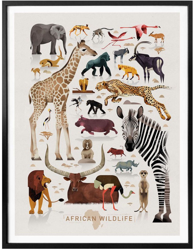 Wall-Art Poster "Africa Safari Tiere Zebra Elefant Löwe", Afrika, (1 St.), günstig online kaufen