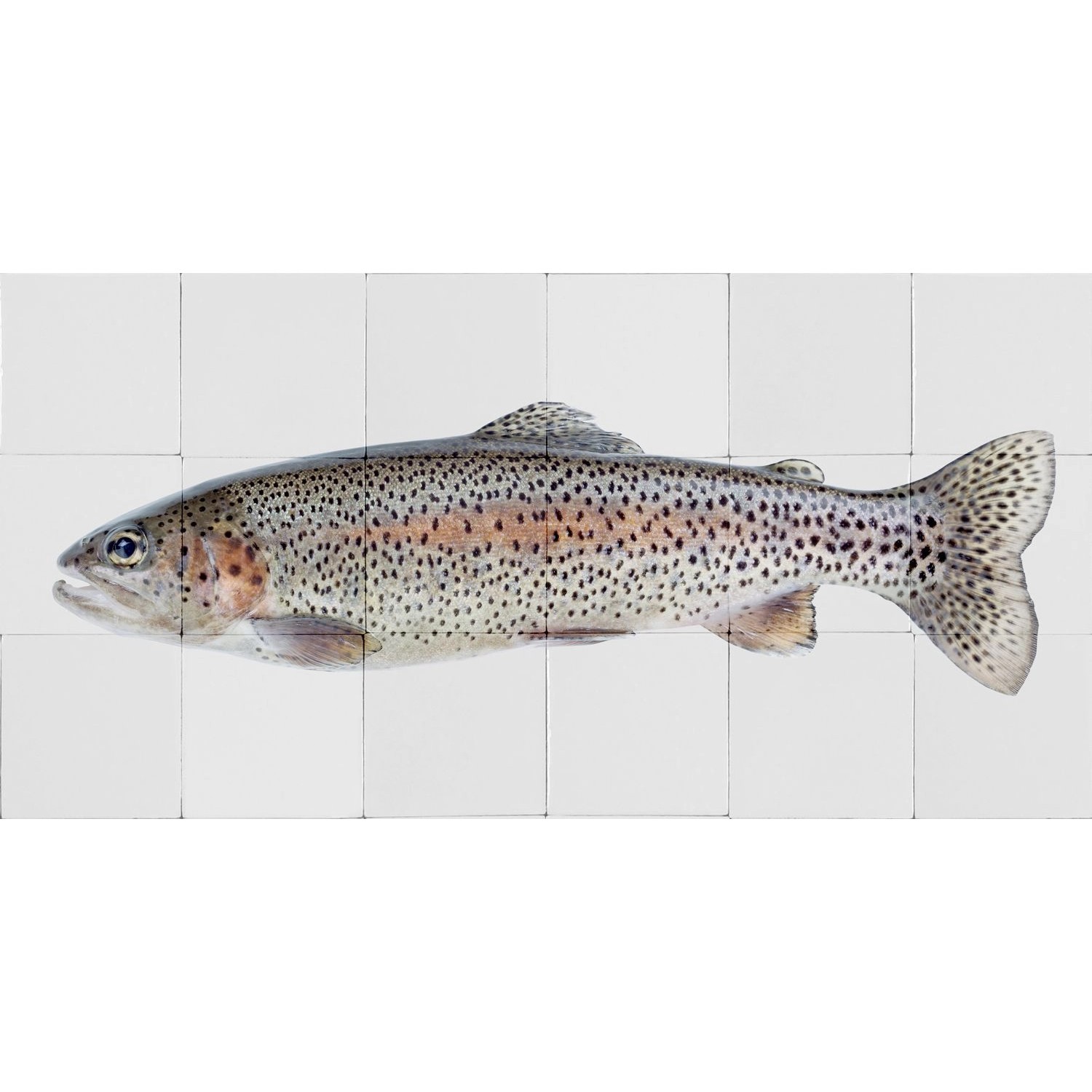 ESTAhome Wandtattoo Fisch Grau und Lachsrosa 97 x 48,5 cm 159031 günstig online kaufen