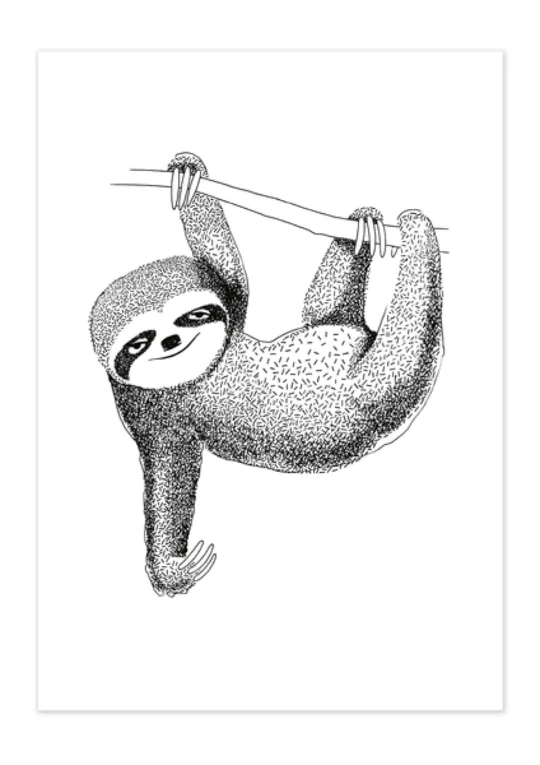 Poster Animal Sloth Matt günstig online kaufen
