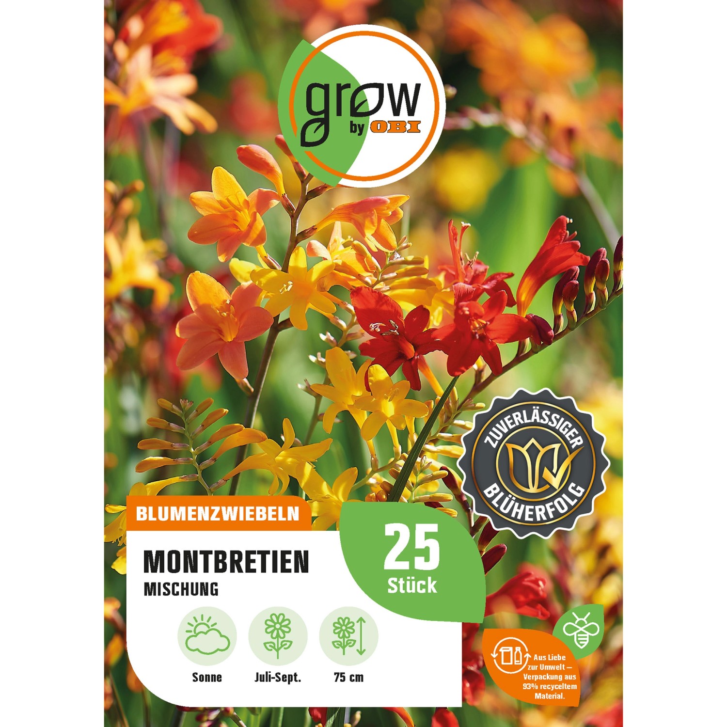 GROW by OBI Montbretia Crocosmiiflora Mischung 75 cm Crocosmia crocosmiiflo günstig online kaufen