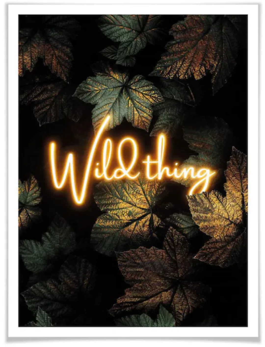 Wall-Art Poster »Wild Thing«, Schriftzug, (1 St.), Poster ohne Bilderrahmen günstig online kaufen