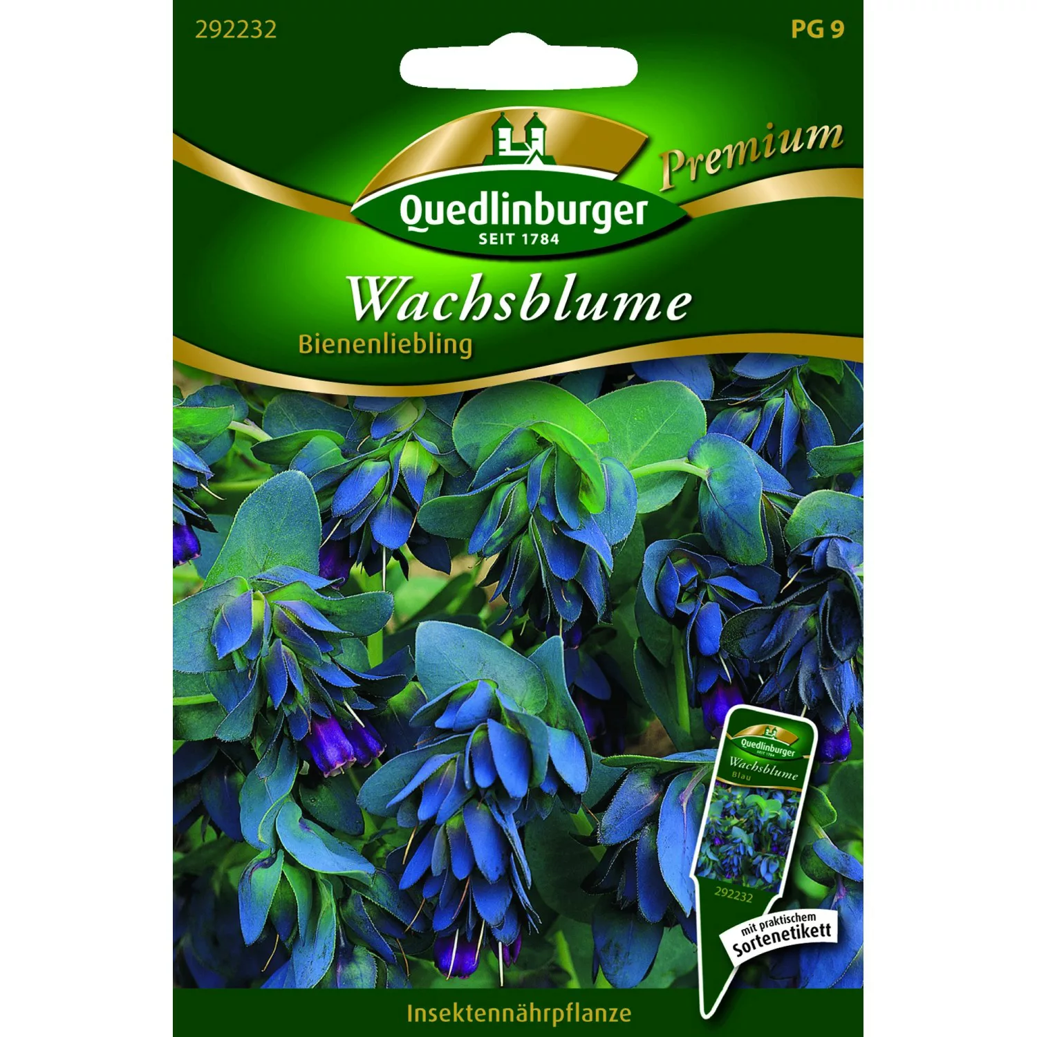 Quedlinburger Wachsblumen Bienenliebling günstig online kaufen