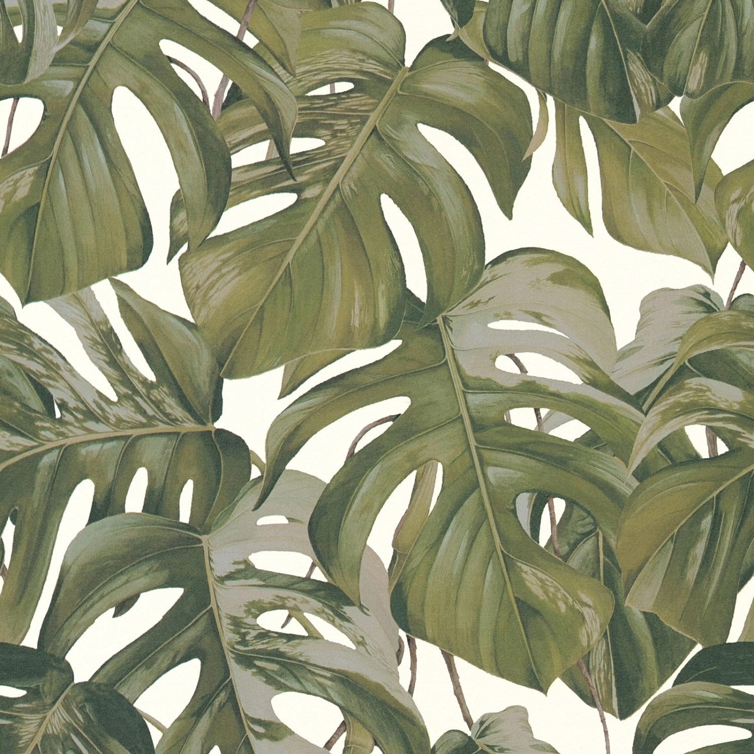 Bricoflor Palmenblätter Tapete in Olivgrün Monstera Vliestapete Weiß Grün f günstig online kaufen