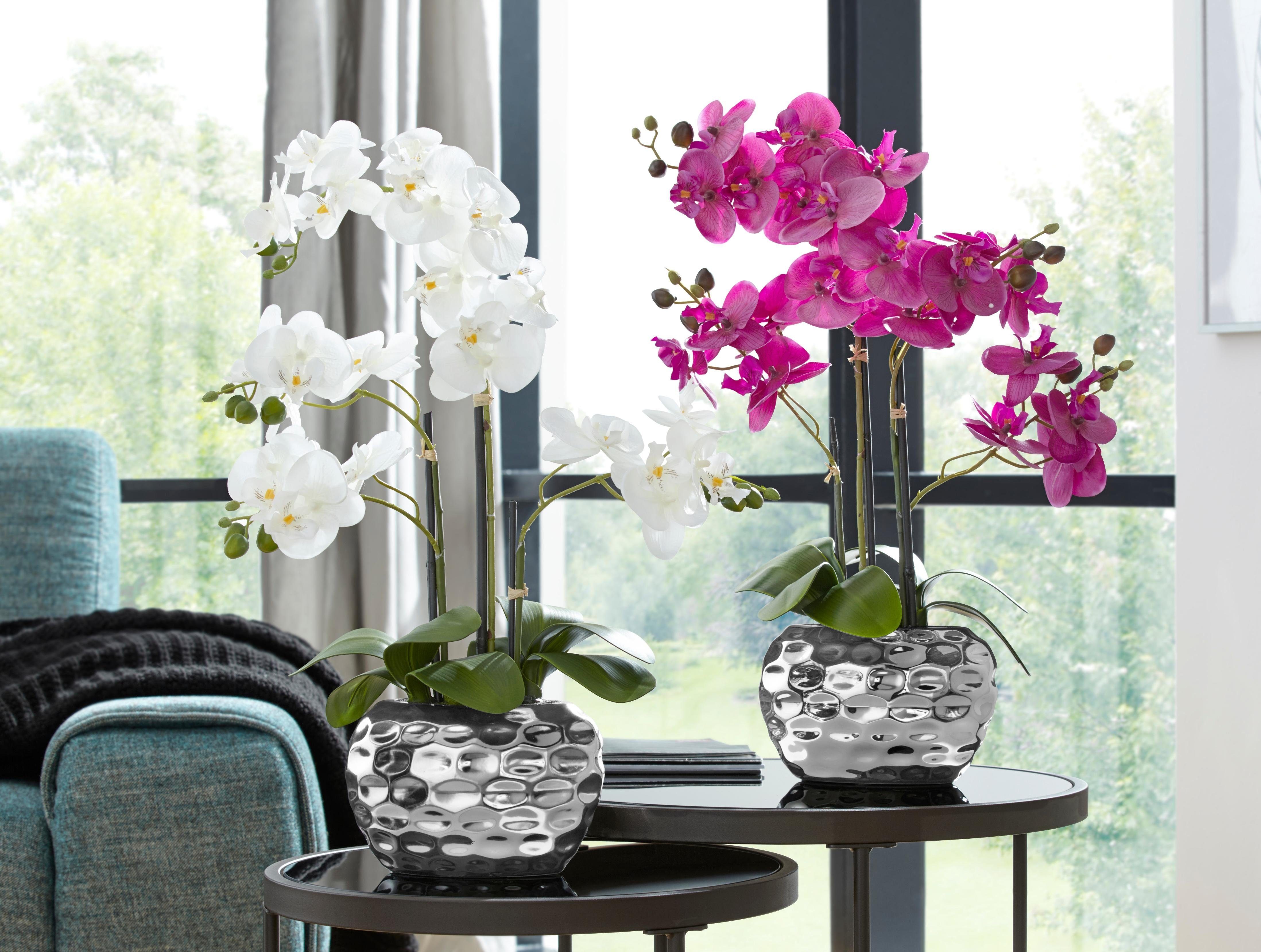 Kunstpflanze Orchidee Orchidee, Creativ green, Höhe günstig online kaufen