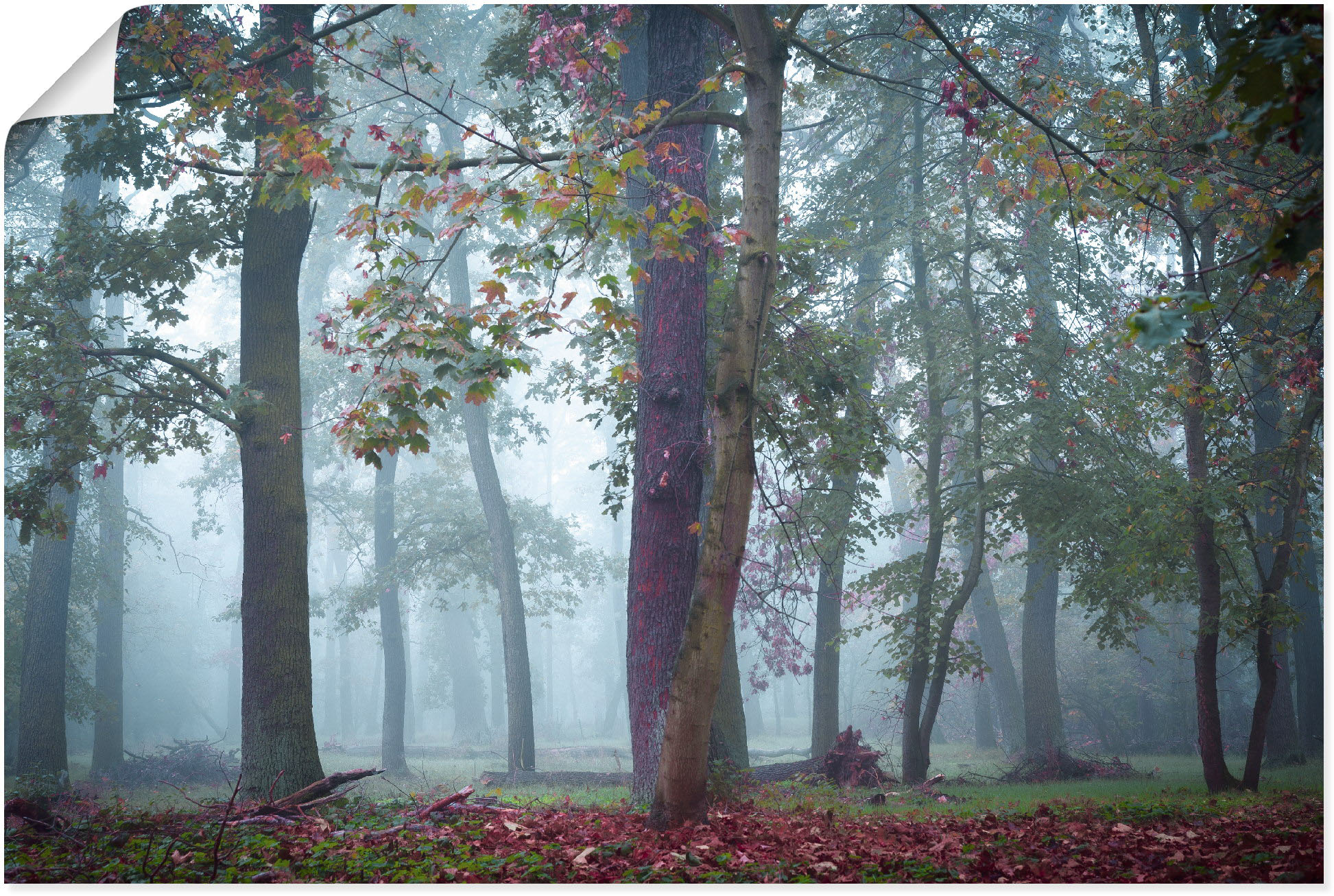 Artland Wandbild "Nebel im Wald", Waldbilder, (1 St.), als Alubild, Outdoor günstig online kaufen