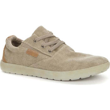 Grunberg  Sneaker - günstig online kaufen