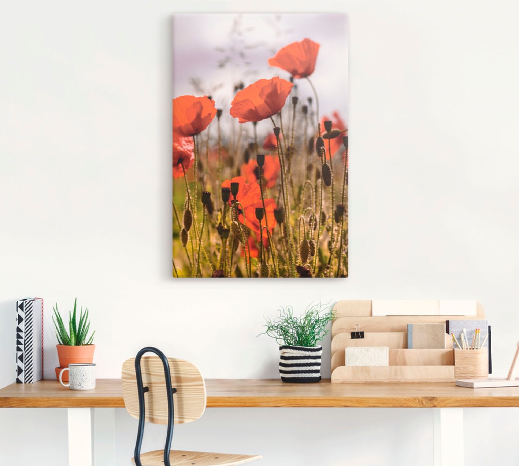 Artland Wandbild "Mohnblumen im Morgenlicht", Blumenwiese, (1 St.), als Alu günstig online kaufen