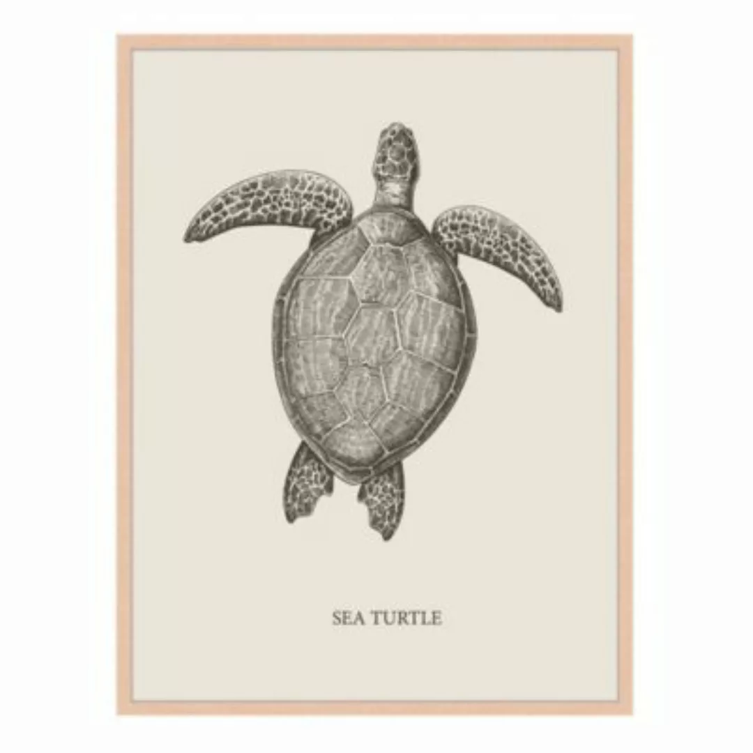 Milan Moon Wandbild Schildkröte beige Gr. 60 x 80 günstig online kaufen