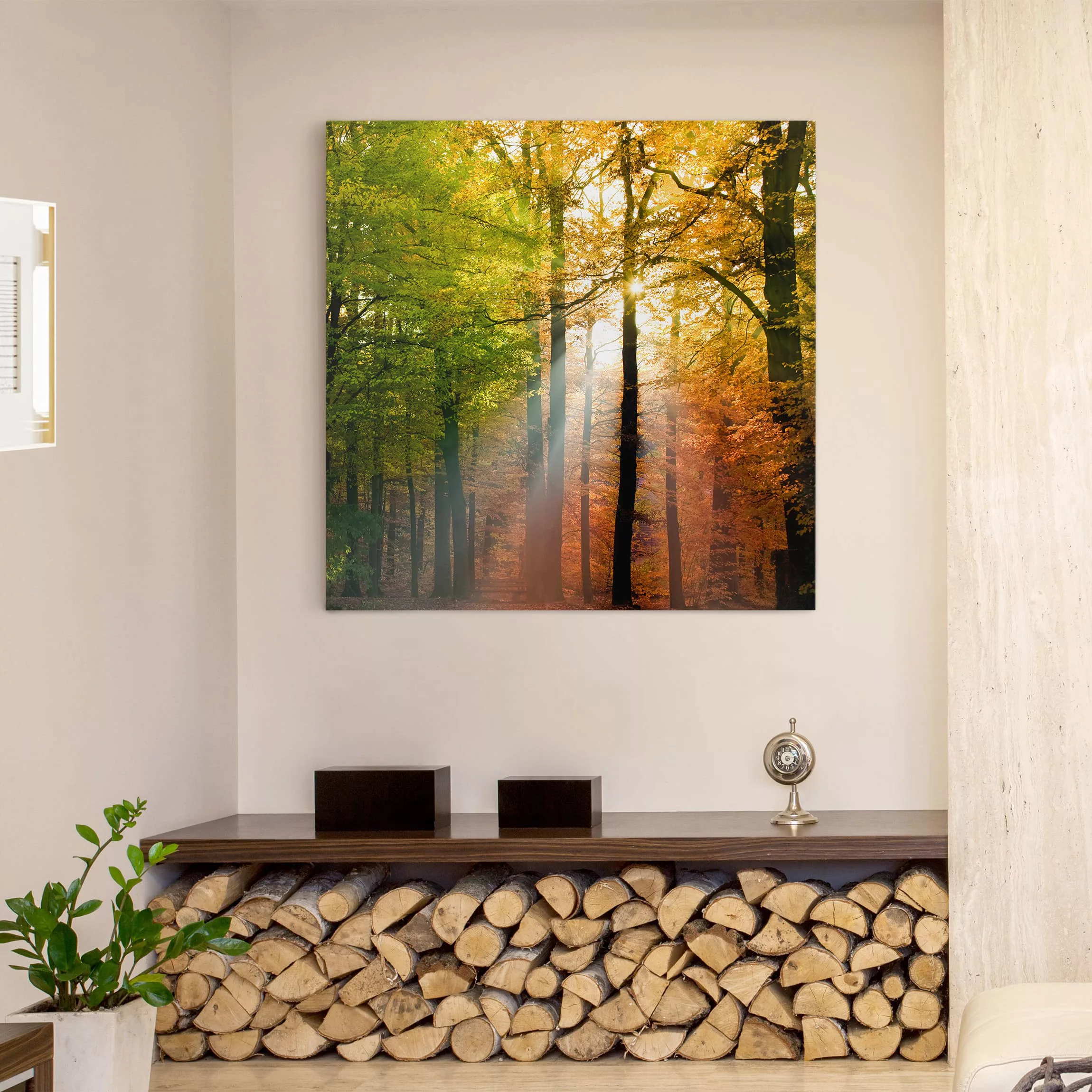 Leinwandbild Wald - Quadrat Morning Light günstig online kaufen