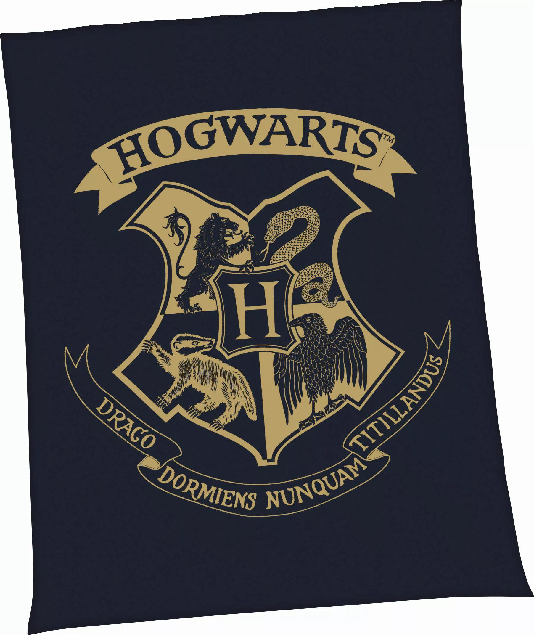 Wohndecke Harry Potter, Harry Potter, mit günstig online kaufen