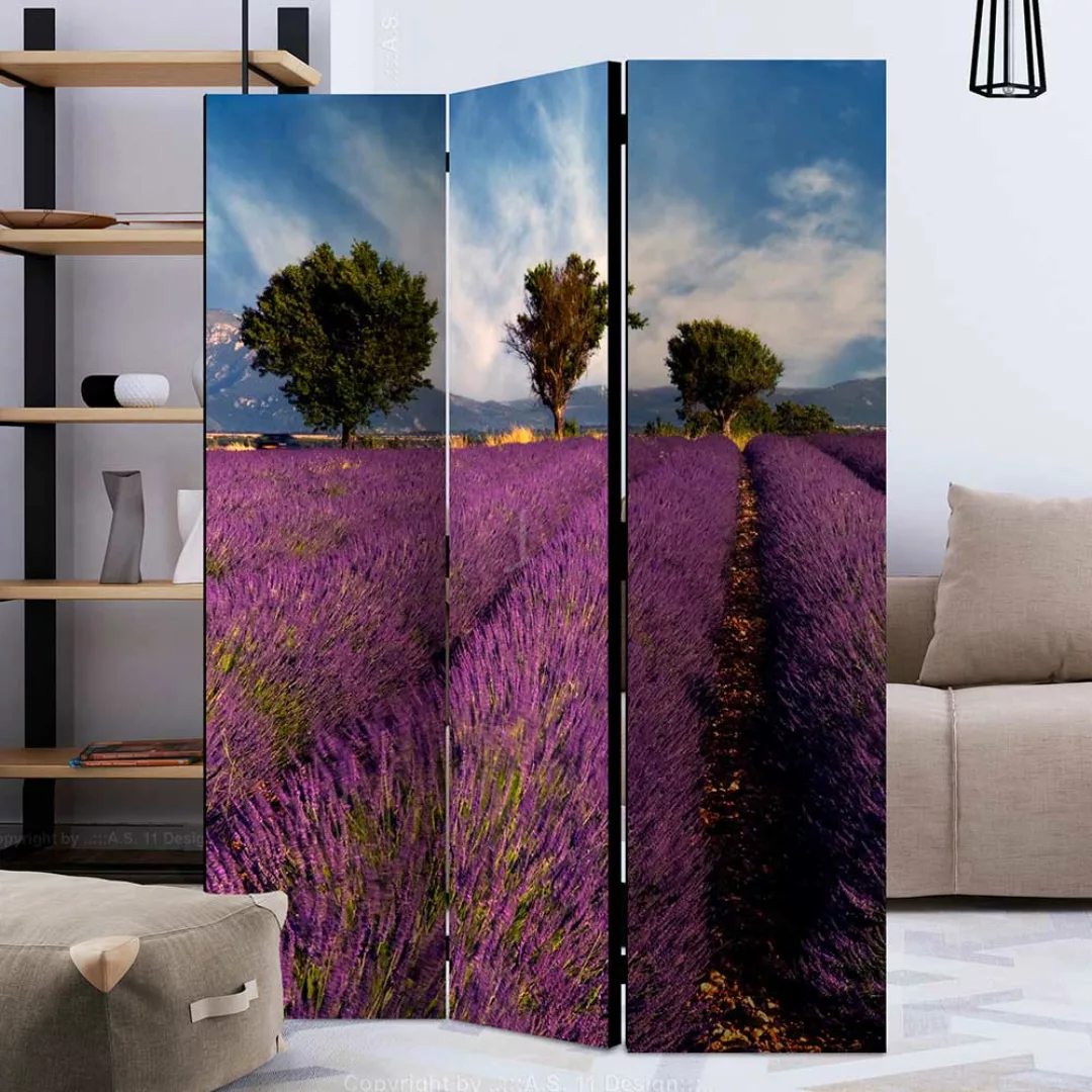 Sichtschutz Indoor im Landhausstil Lavendelfeld Motiv günstig online kaufen