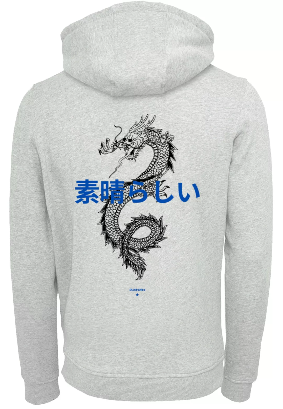 F4NT4STIC Kapuzenpullover "Dragon lila", Hoodie, Warm, Bequem günstig online kaufen