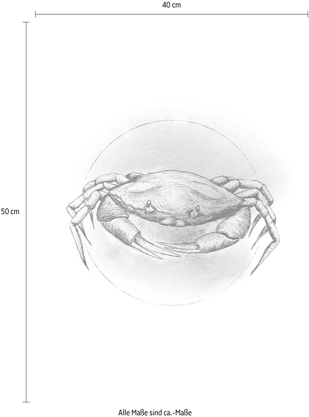 Komar Bild "Crab Watercolor", Tiere, (1 St.), Wandbild zur Dekoration - ohn günstig online kaufen
