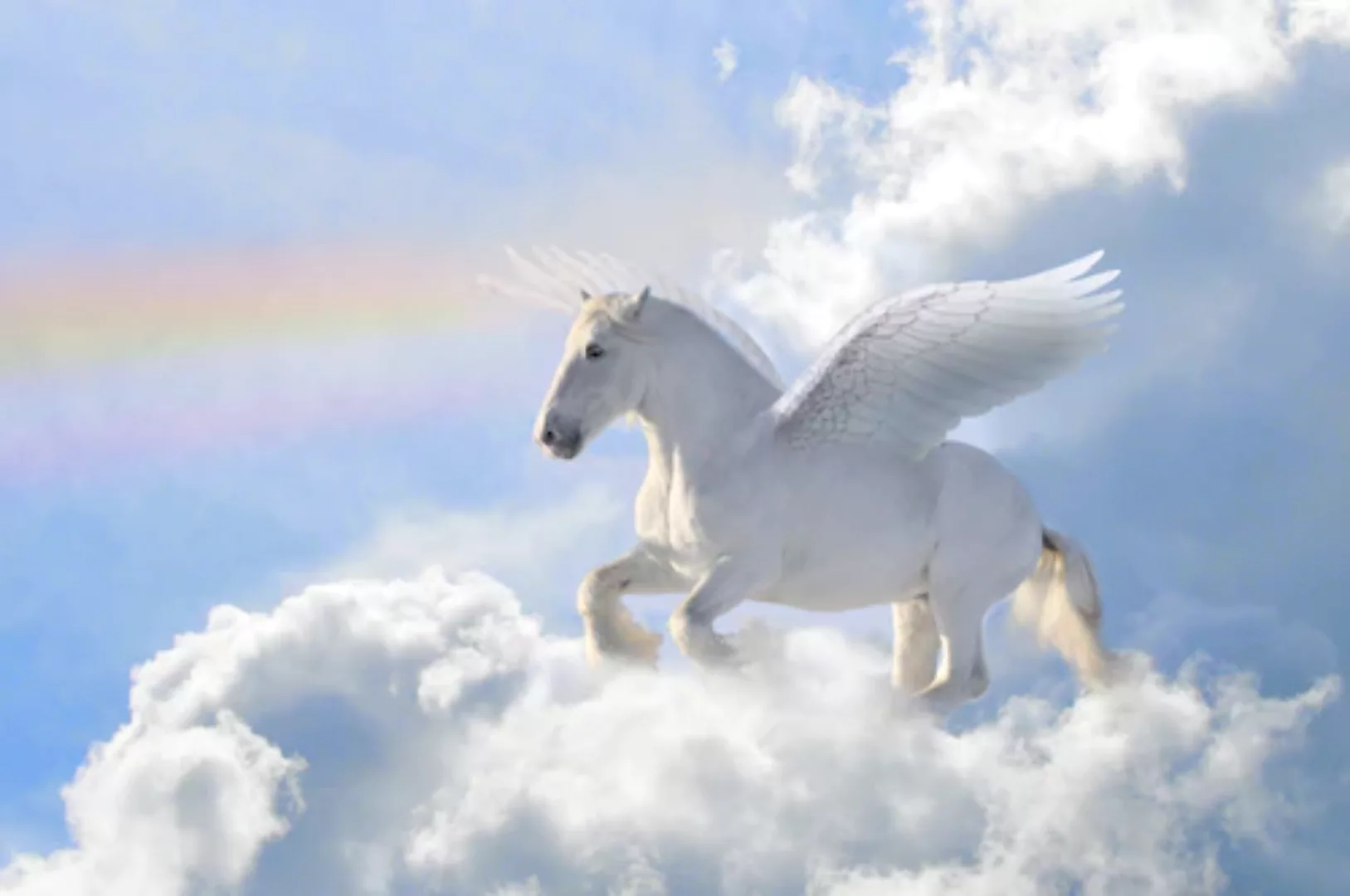 Papermoon Fototapete »Pegasus in the Clouds« günstig online kaufen