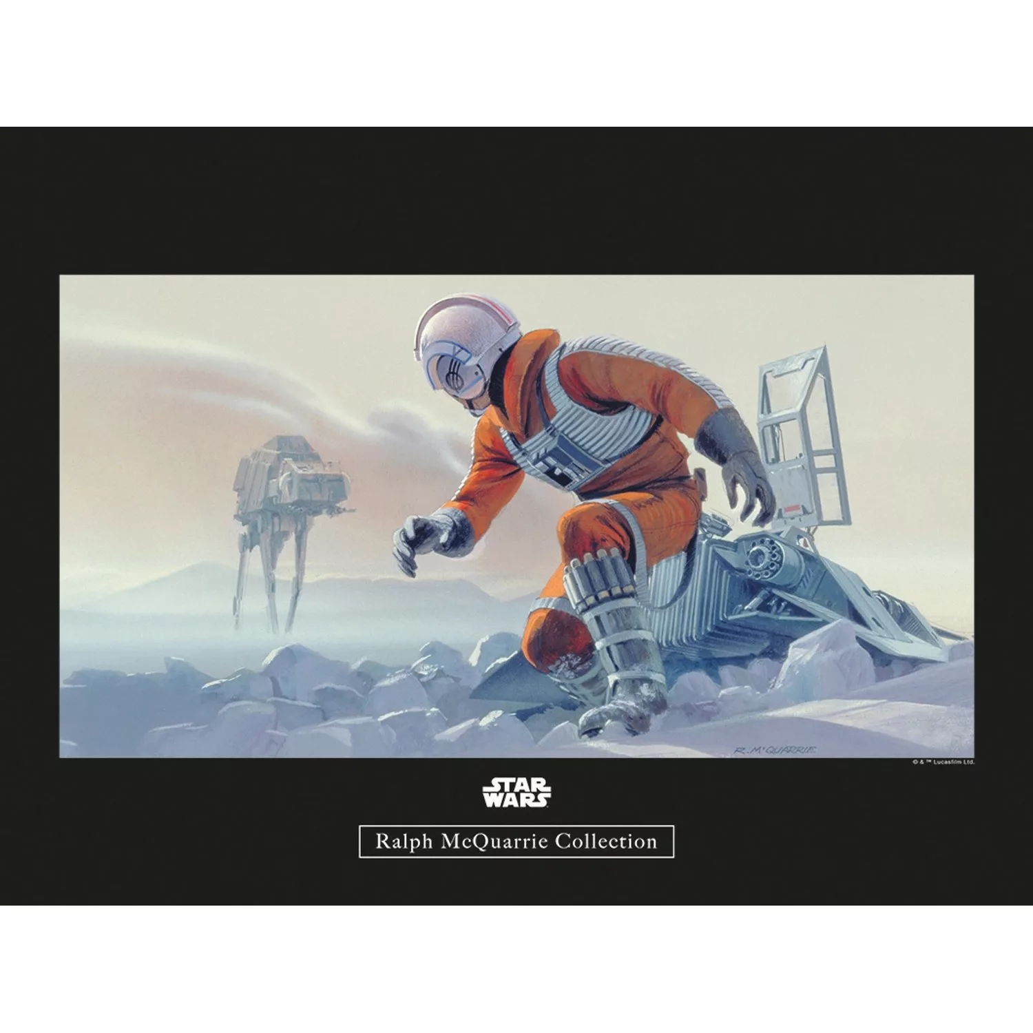 Komar Wandbild Star Wars Pilot 40 x 30 cm günstig online kaufen