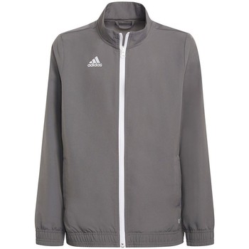 adidas  Sweatshirt Entrada 22 Presentation günstig online kaufen