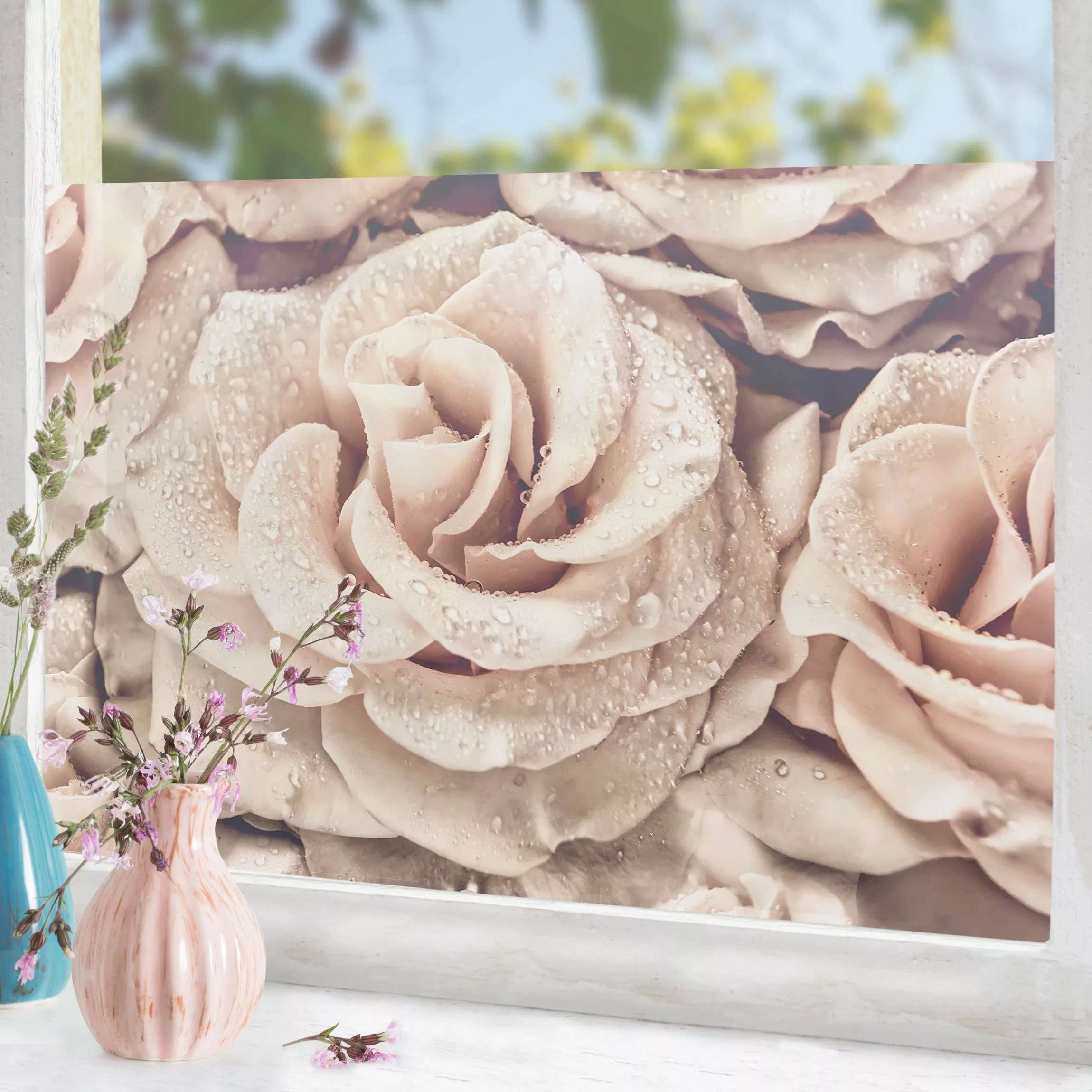 Fensterfolie Rosen Sepia mit Wassertropfen günstig online kaufen