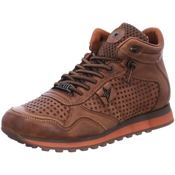 Cetti  Sneaker Nature in Testa C1048 günstig online kaufen