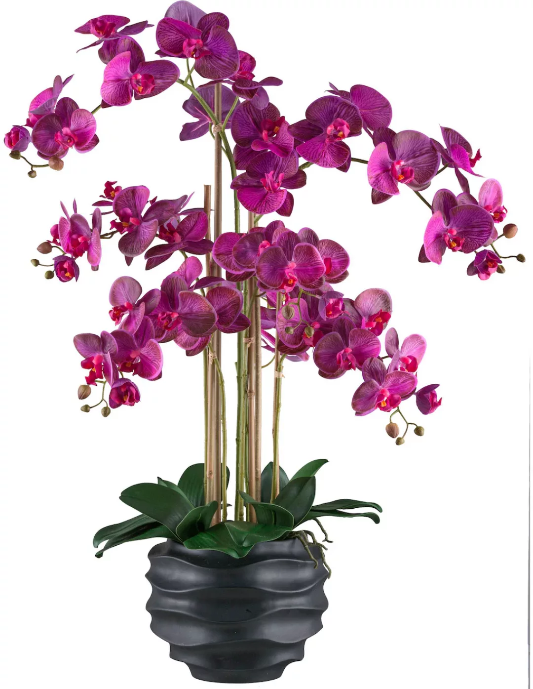 Creativ green Kunstorchidee "Orchidee Phalaenopsis", im Design-Topf günstig online kaufen