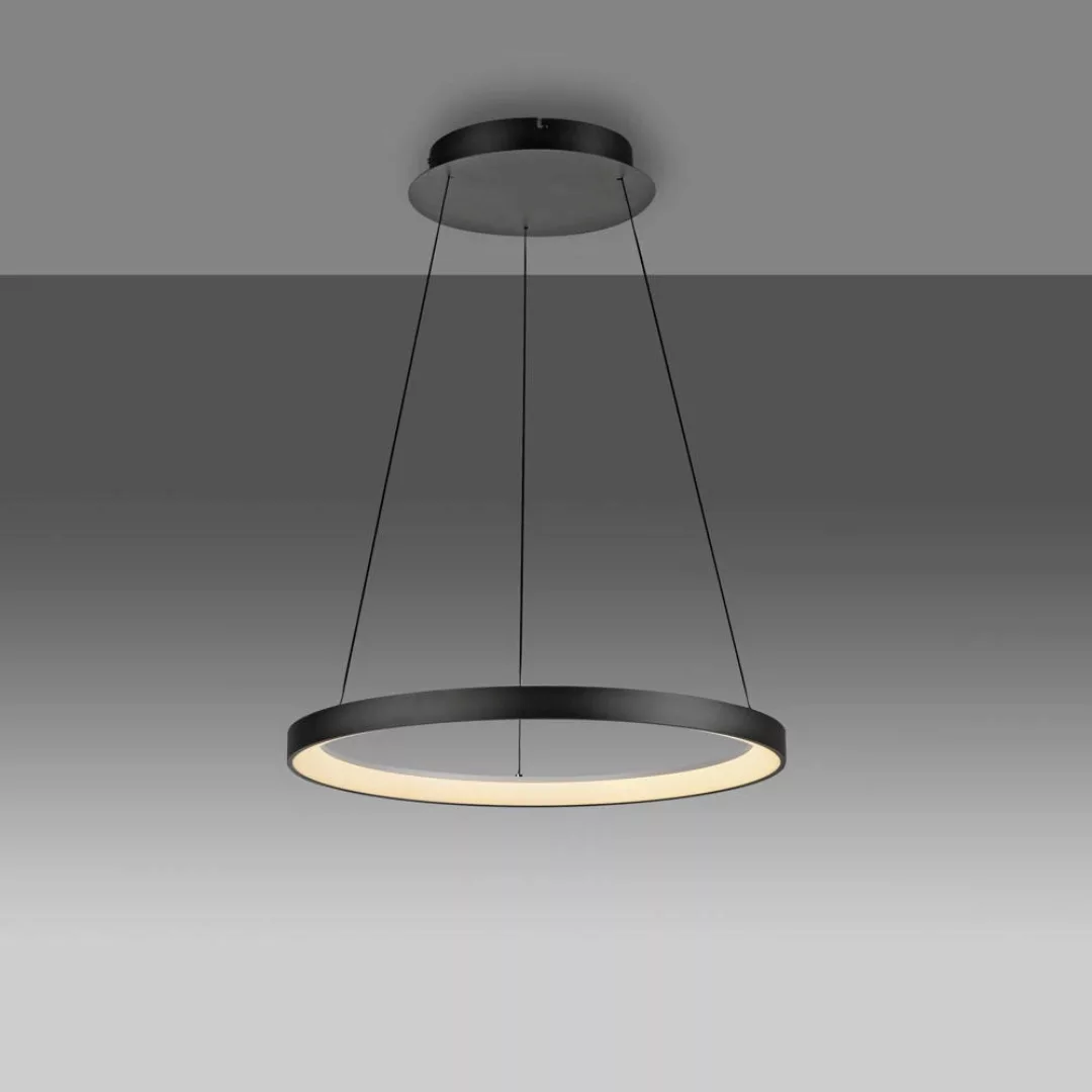 Paul Neuhaus LED-Hängelampe Hoop, schwarz, Ø 57 cm. Eisen günstig online kaufen