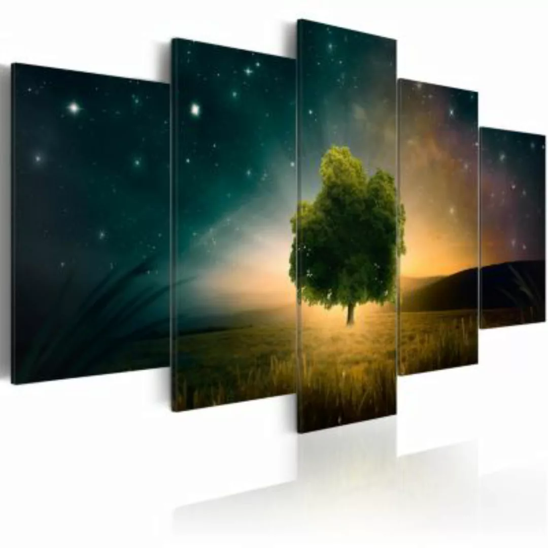 artgeist Wandbild Valley of Stars mehrfarbig Gr. 200 x 100 günstig online kaufen