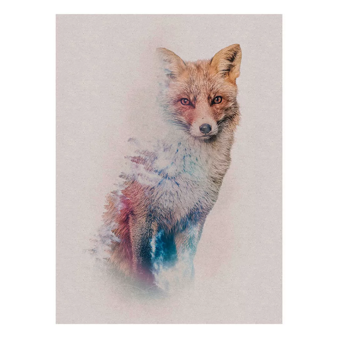 Komar Wandbild Animal Forest Fox 30 cm x 40 cm günstig online kaufen