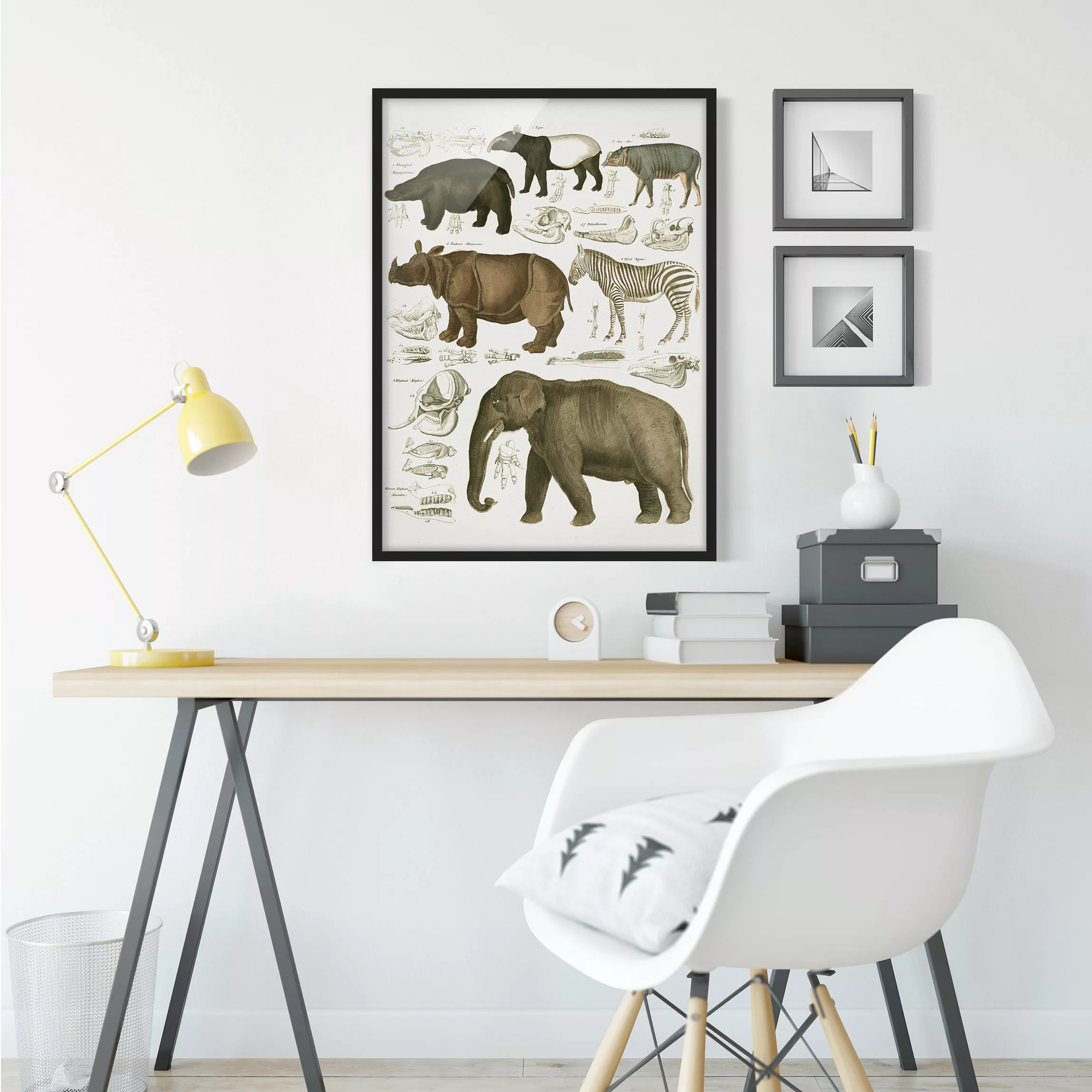 Bild mit Rahmen Tiere - Hochformat Vintage Lehrtafel Elefant, Zebra und Nas günstig online kaufen