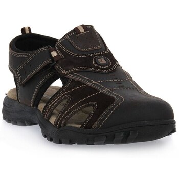 Grisport  Sandalen Buff Choco günstig online kaufen