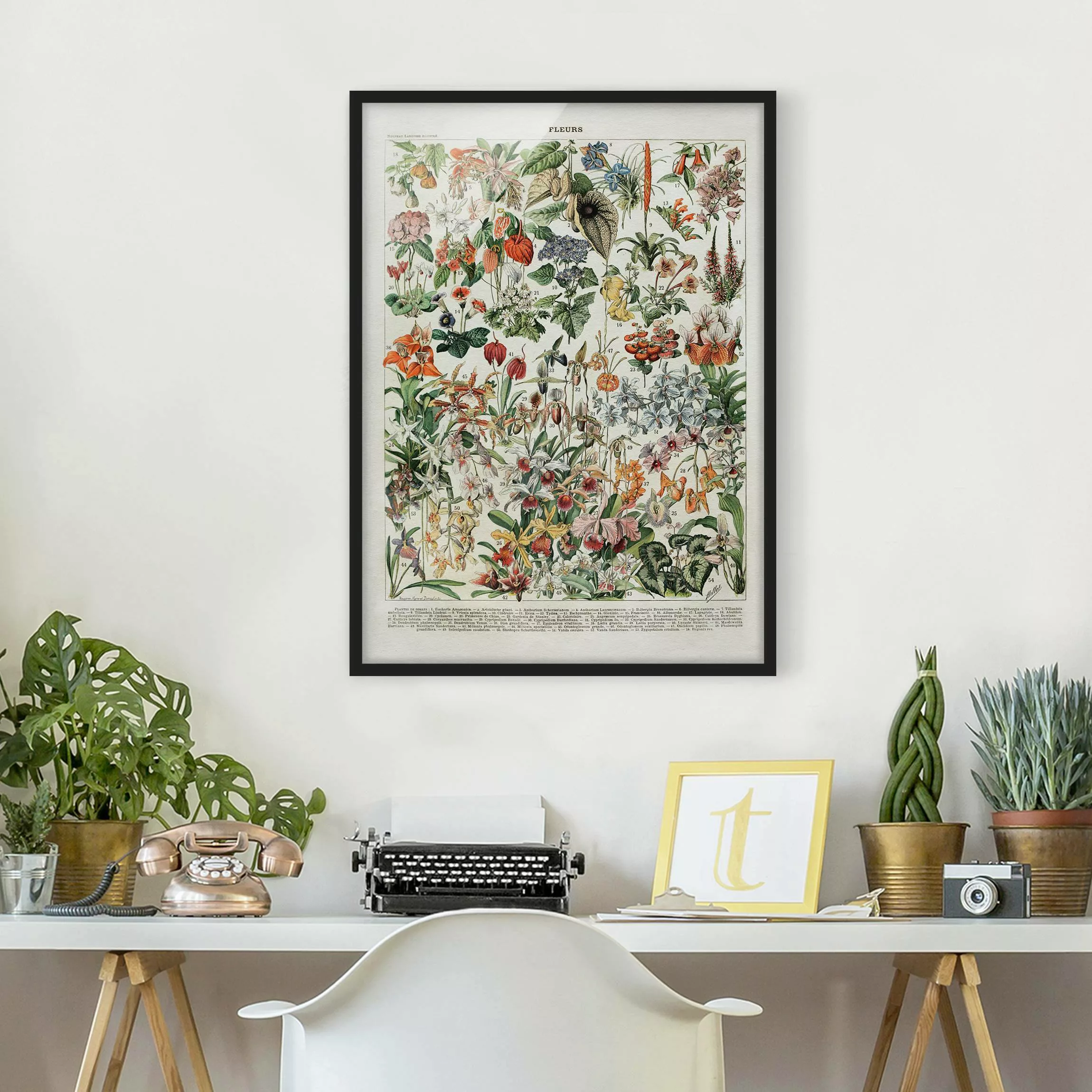 Bild mit Rahmen Blumen - Hochformat Vintage Lehrtafel Blumen III günstig online kaufen