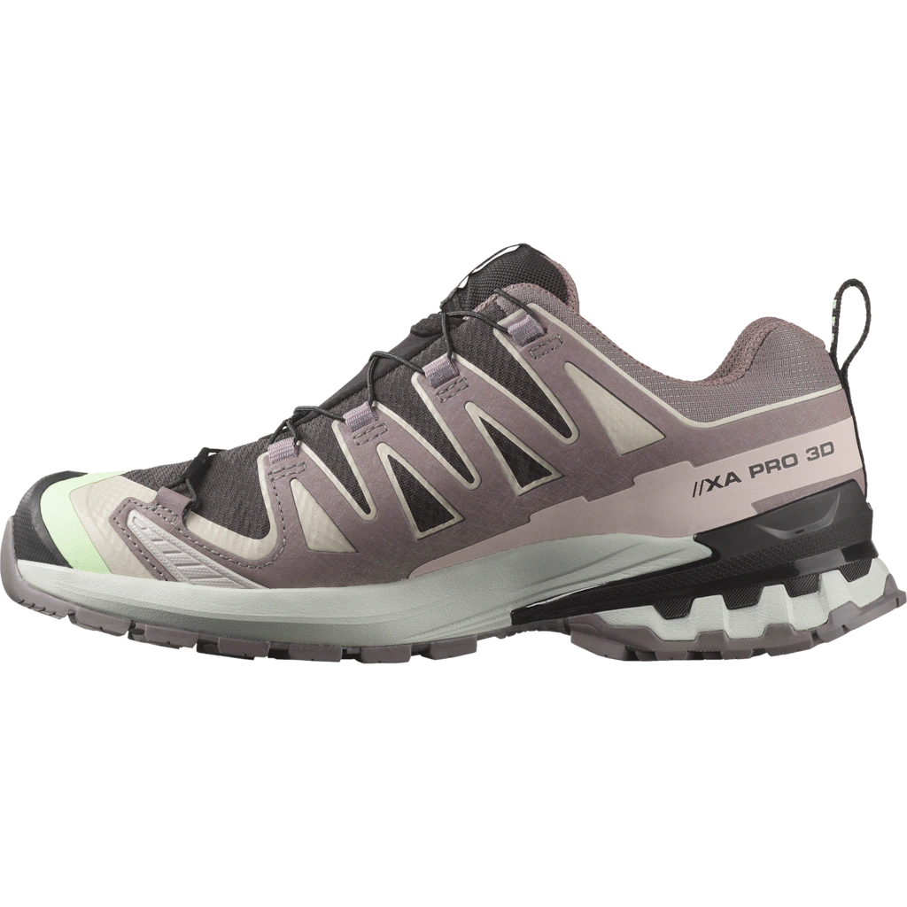 Salomon Laufschuh "XA PRO 3D V9 GORE-TEX W", wasserdicht günstig online kaufen